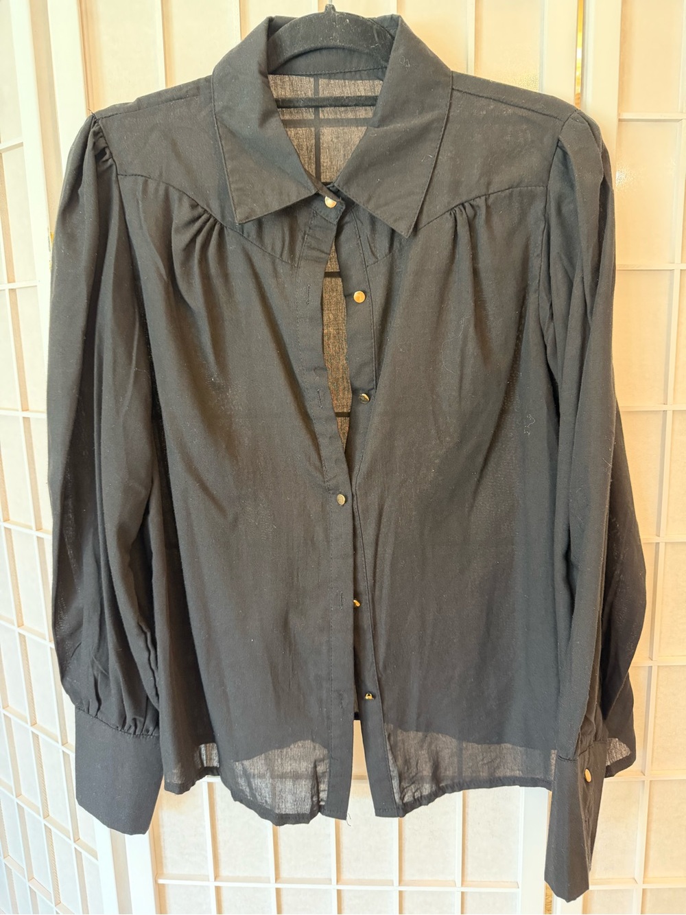 Black Women's Button-Front Blouse - Classic Collar